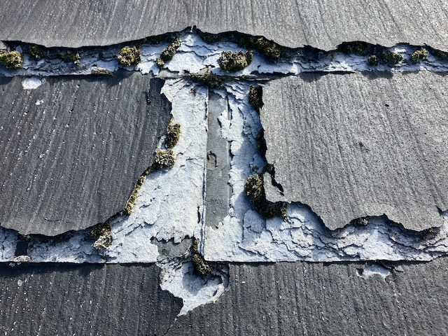 経年劣化したパミール・別角度